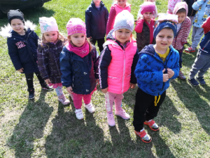 IMG_20190409_113330